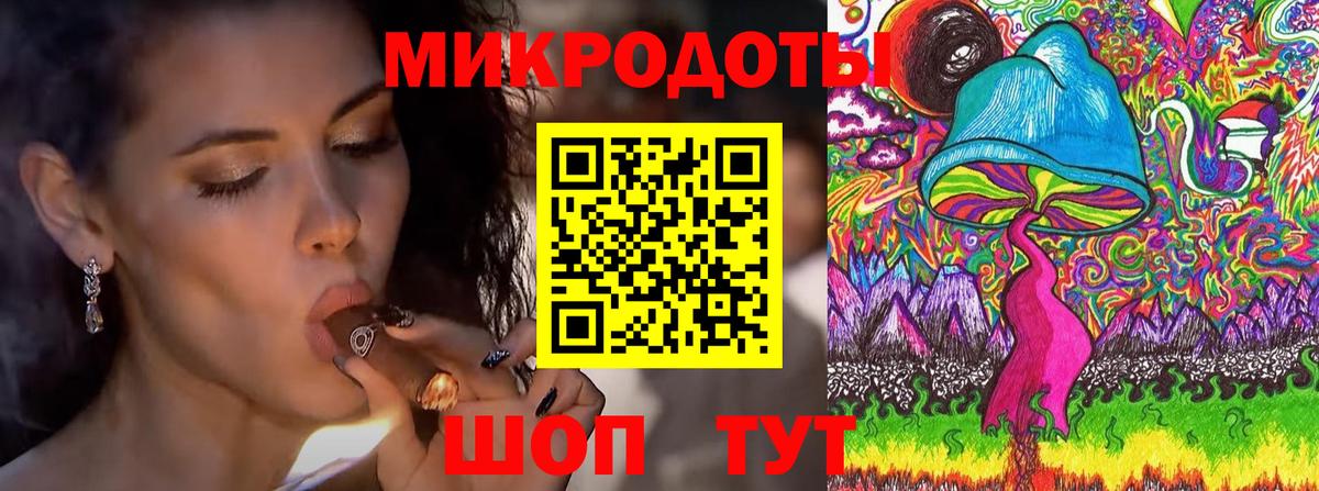 Черкесск  Псилоцибиновые грибы Psilocybine cubensis  Вход с VPN 