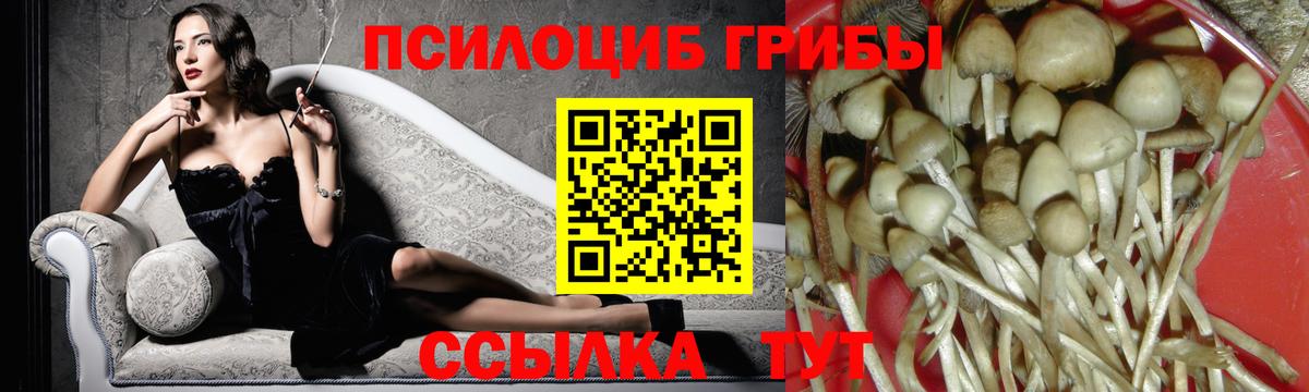 Псилоцибиновые грибы Magic Shrooms Черкесск